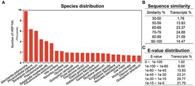 Identification of Putative Precursor Genes for the Biosynthesis of Cannabinoid-Like Compound in Radula marginata